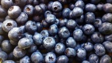 Blueberries