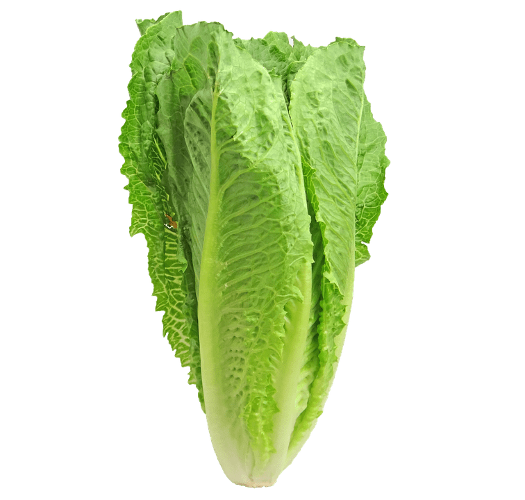 Romaine Recall